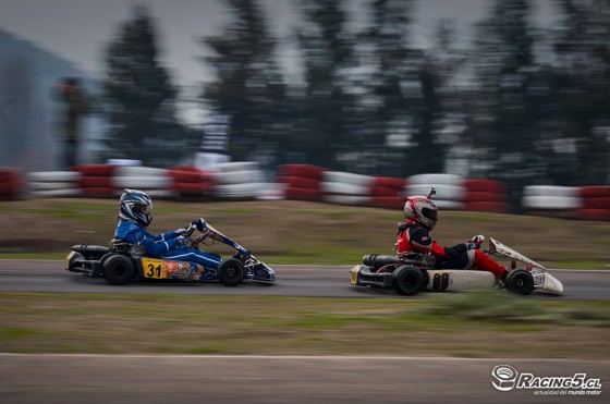 DSC (21)
