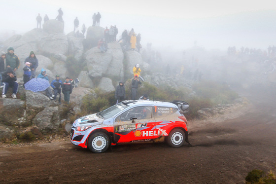 Thierry Neuville - Hyundai WRC